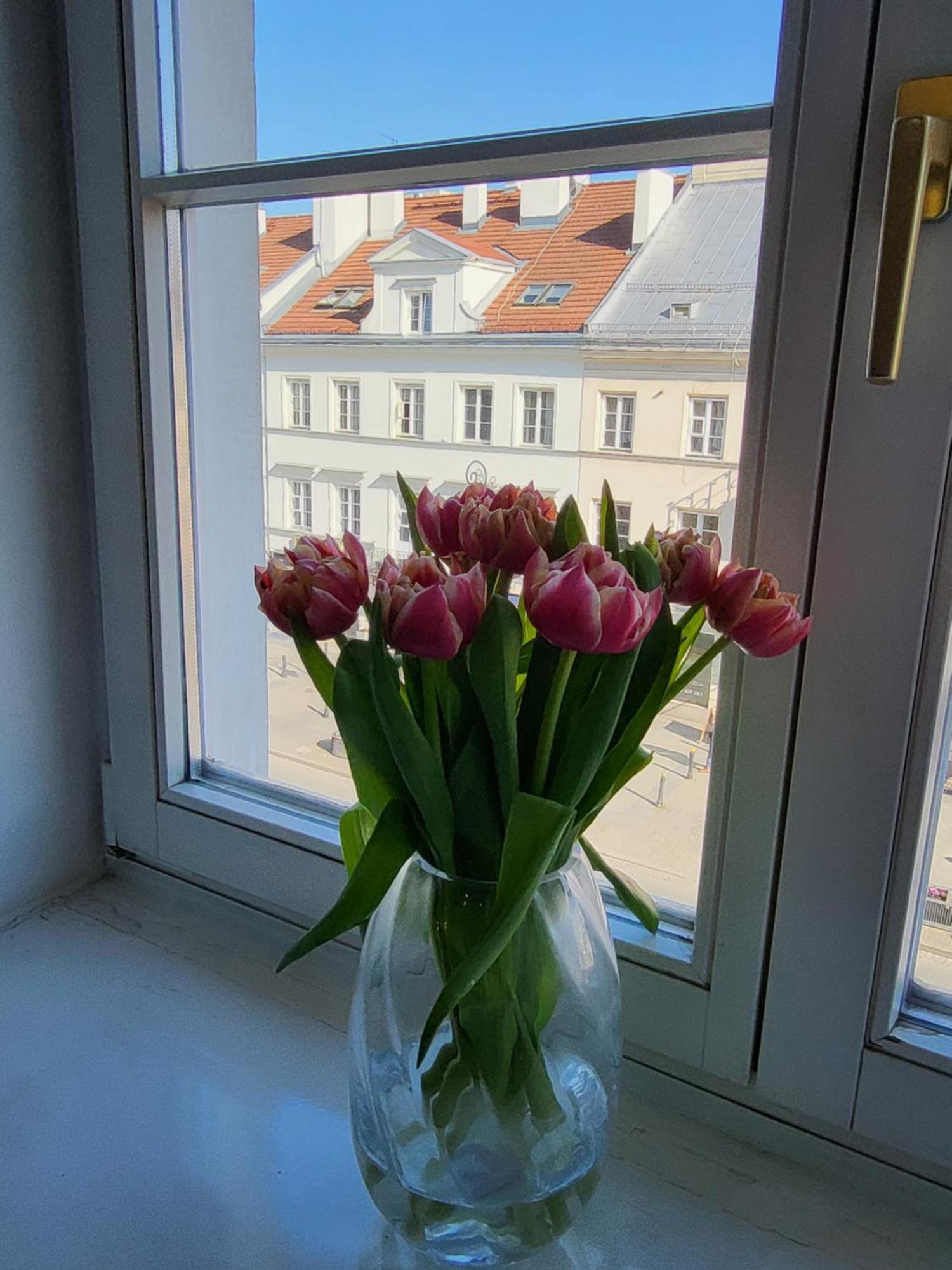 Apartmán Novo Mundo Varšava Exteriér fotografie